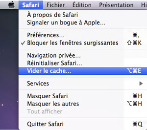 Clearing the cache in Safari